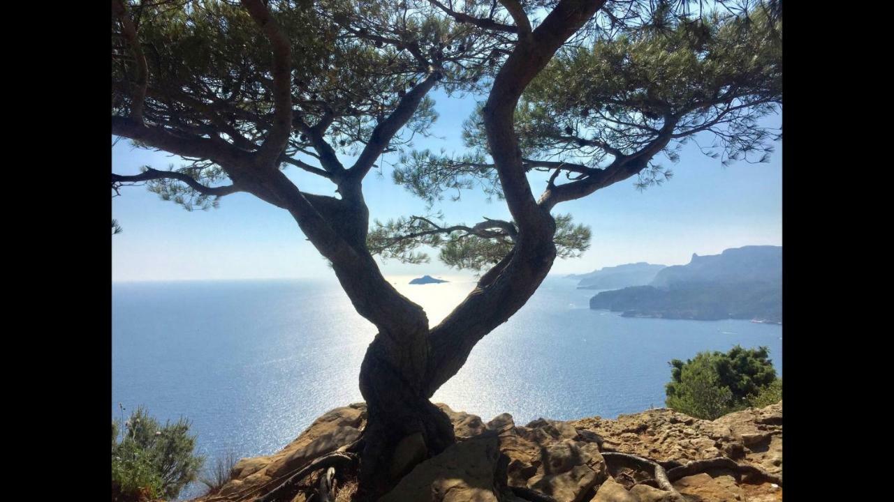 Appart Port Cassis Village Parking Kültér fotó
